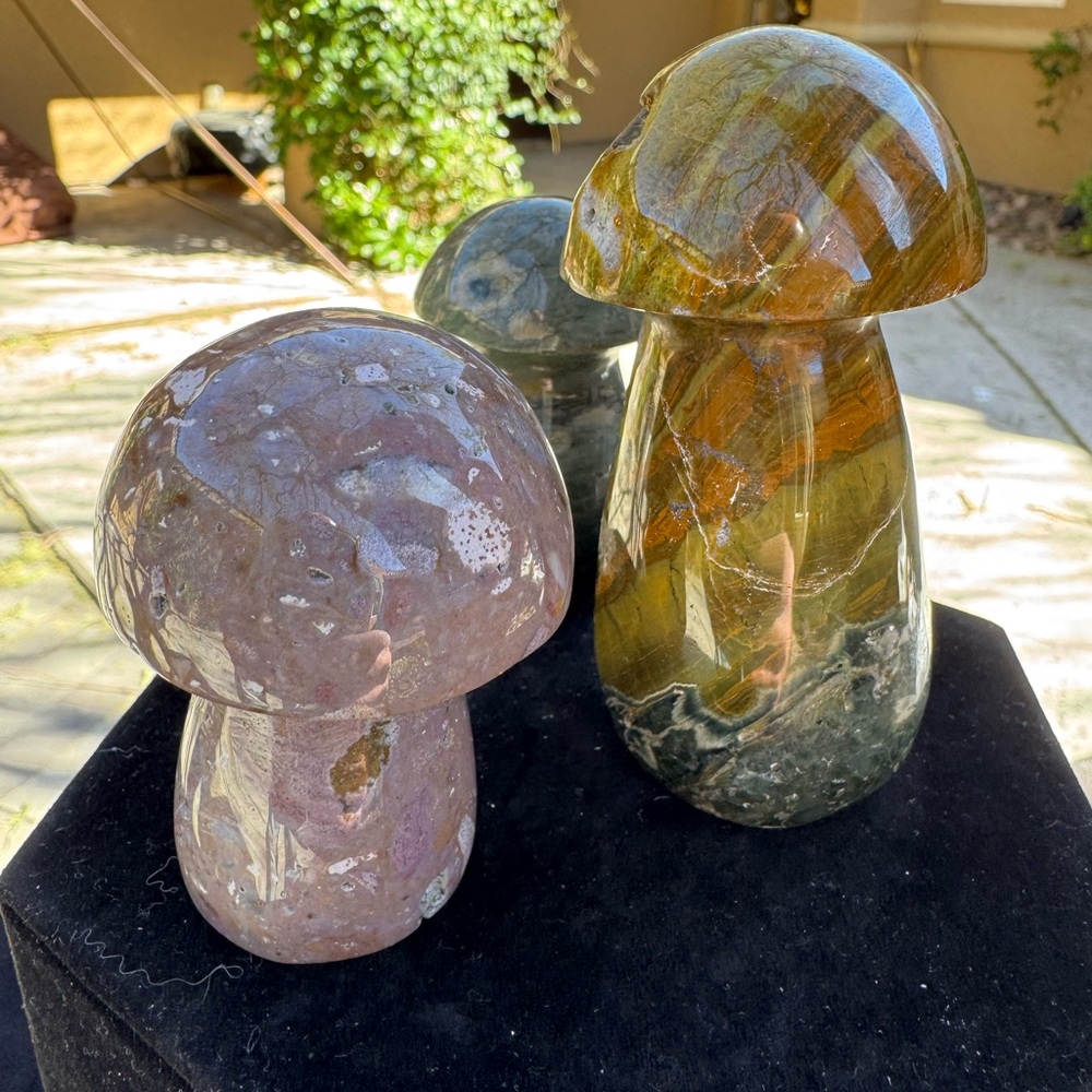 Polished Gemstone Mushroom Sculptures - Trio - Picture 4 of 5